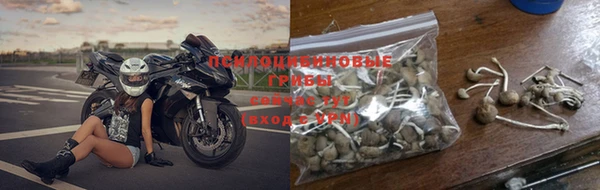дурь Верея