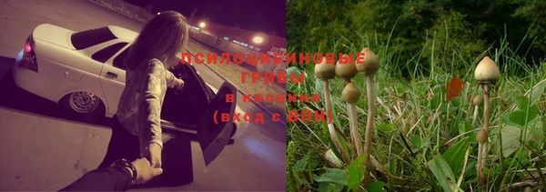 круглые Верхний Тагил